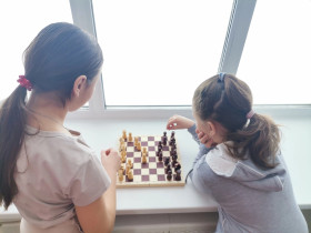 Мы играем в шахматы и шашки.